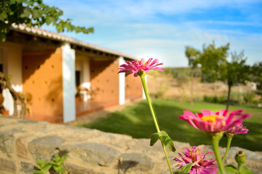 Melrinitas Turismo Rural Ξενοδοχείο Serpa Εξωτερικό φωτογραφία